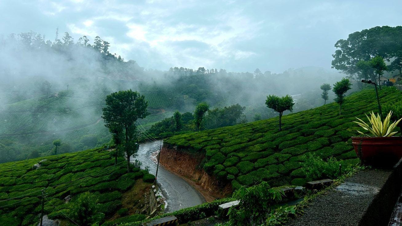 Kodaikanal misty hills view